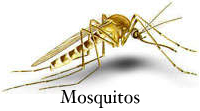 mosquito barrier facts repel does spray